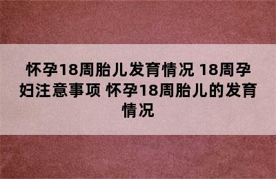 怀孕18周胎儿发育情况 18周孕妇注意事项 怀孕18周胎儿的发育情况